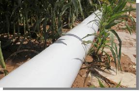 RevBagsIrrigationTubing.JPG